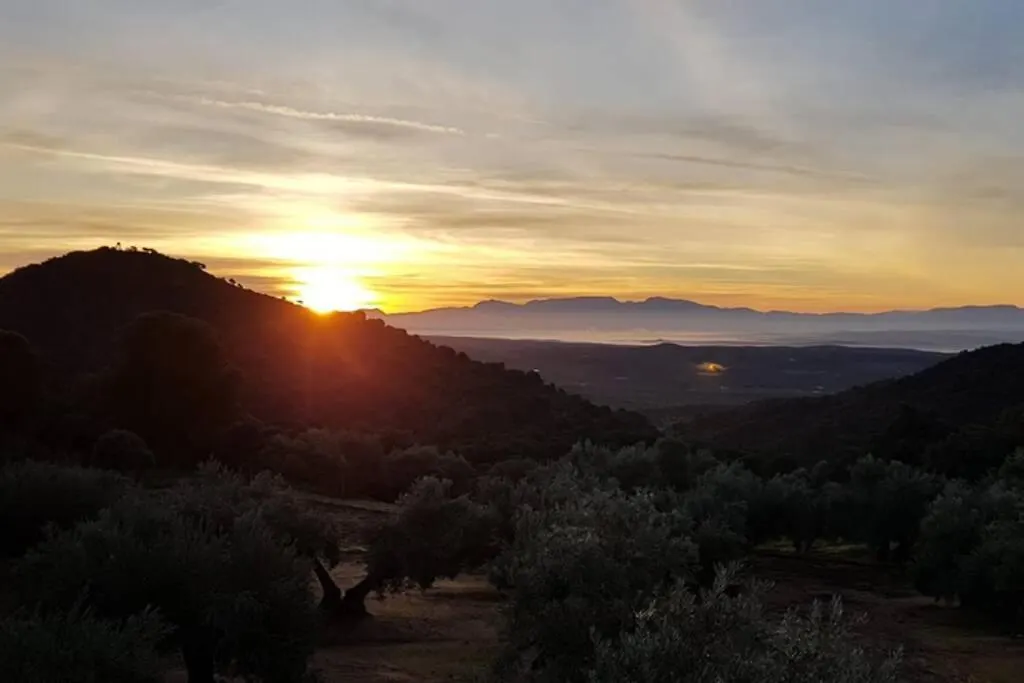 Vina Las Olivas Andújar