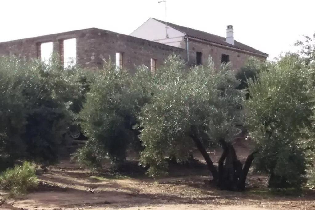 Vina Las Olivas Andújar