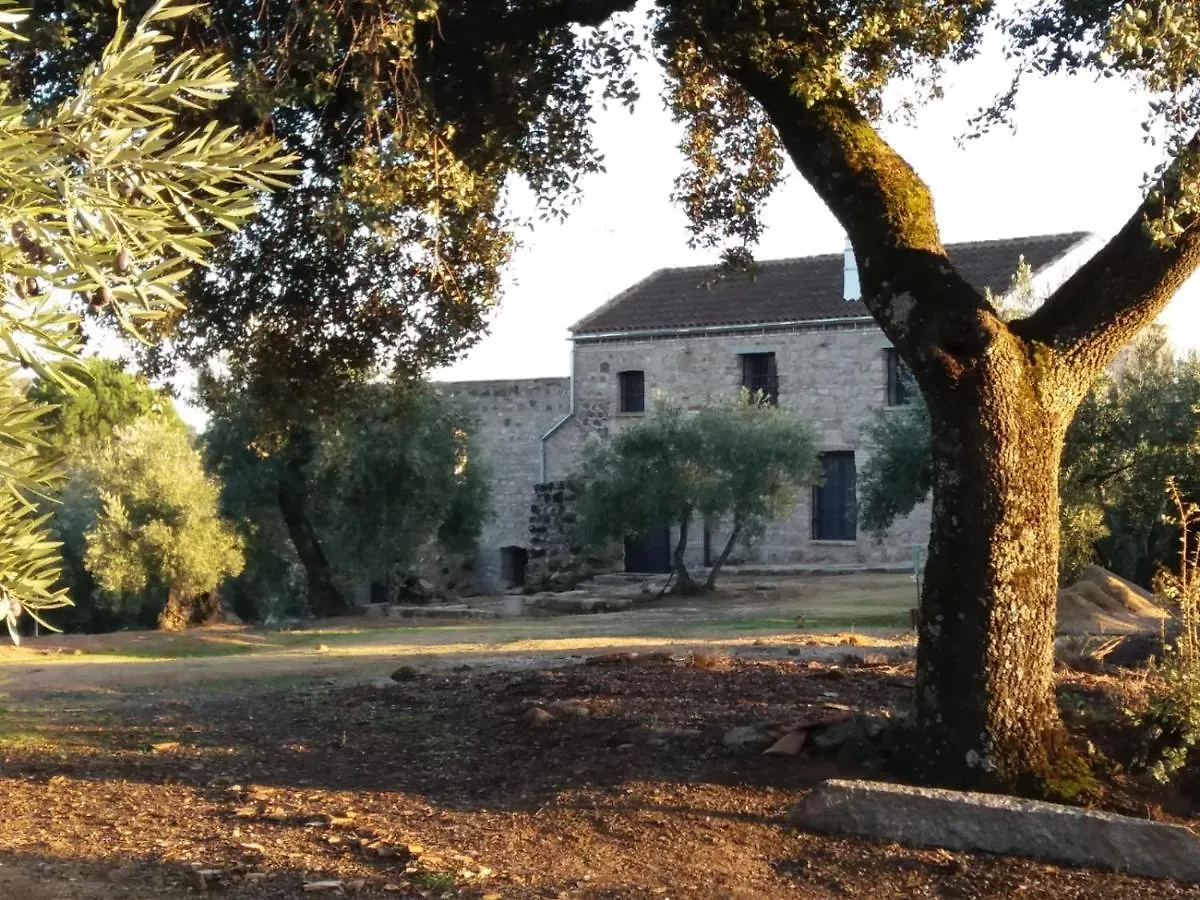 Vina Las Olivas Andújar İspanya